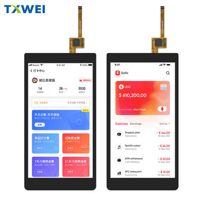 5.5 بوصة شاشة TFT المصنع ، نوع صورة 5.5 بوصة شاشة PCAP TFT